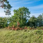 Maxim-gorki-strasse Whg Kranich * Heringsdorf (Usedom)